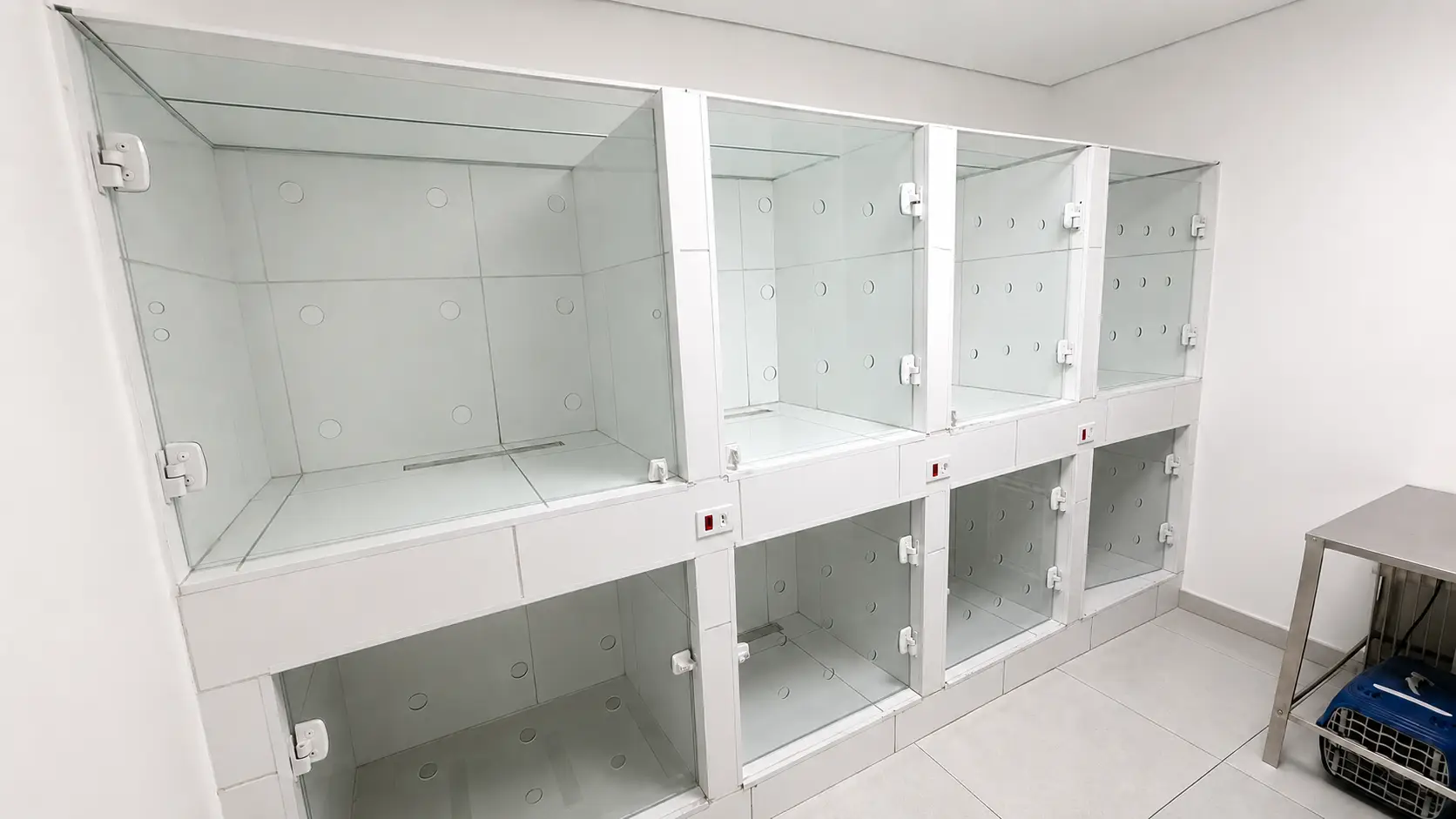 Internação Unidade Cotia